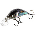 Воблер плавающий Salmo HORNET RATTLIN F 04.5/CHC